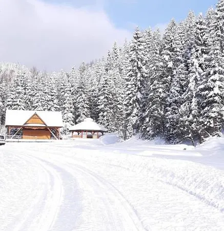 Lodge Bodziuchowka Mizerna