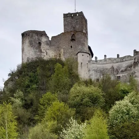 Bodziuchówka Mizerna