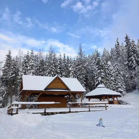 Bodziuchowka Lodge *