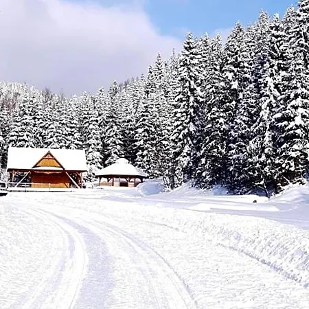 Bodziuchowka Orman Evi Mizerna