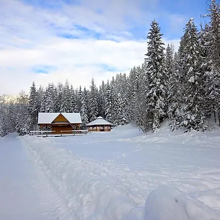 Bodziuchowka Orman Evi