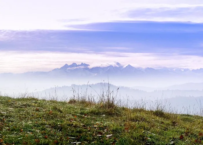 Domek letniskowy Bodziuchówka *